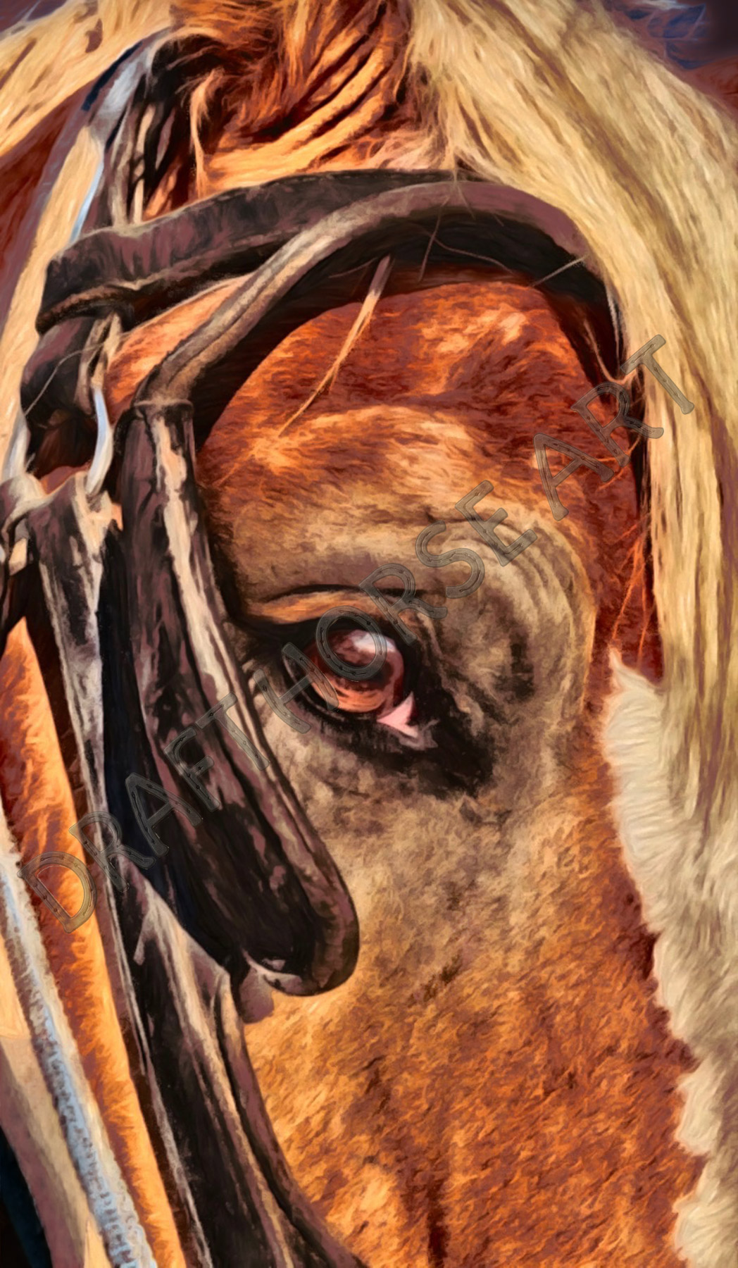 Horse Eye