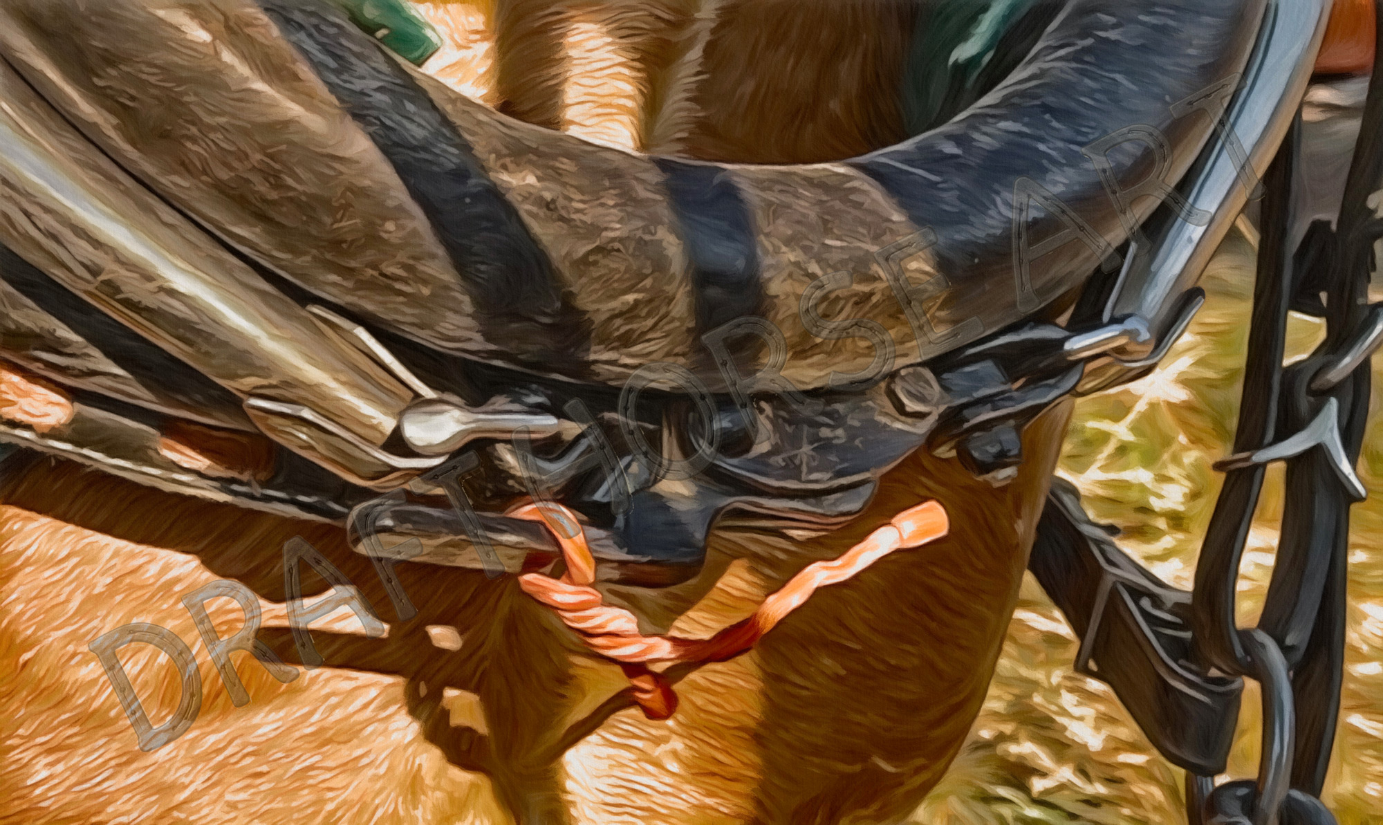 Lower Hames Buckle