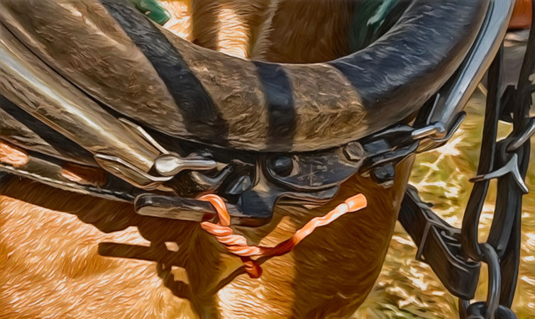 Lower Hames Buckle